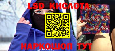 индика Кингисепп