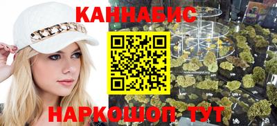 индика Кингисепп