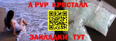 индика Кингисепп