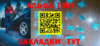 индика Кингисепп