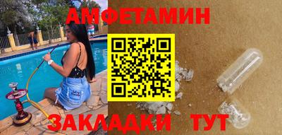 индика Кингисепп