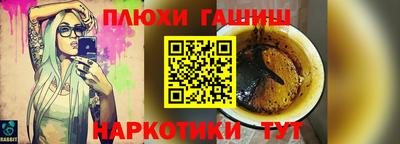 индика Кингисепп