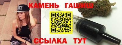 индика Кингисепп