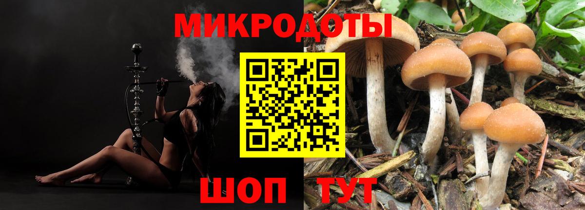 Галлюциногенные грибы прущие грибы  Псилоцибиновые грибы MAGIC MUSHROOMS  Воткинск  Вход с VPN 